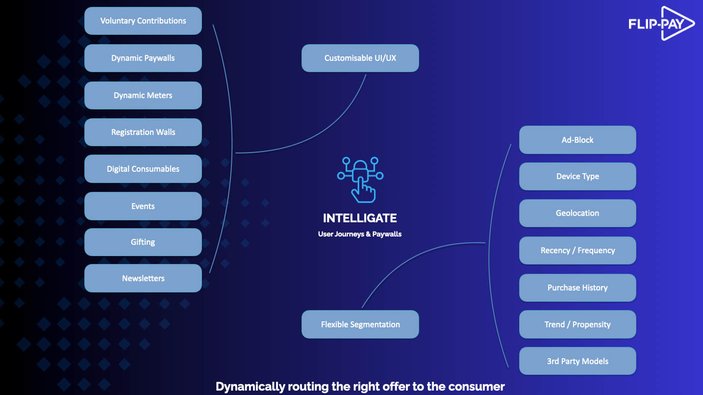 Dynamic Paywall Infographic